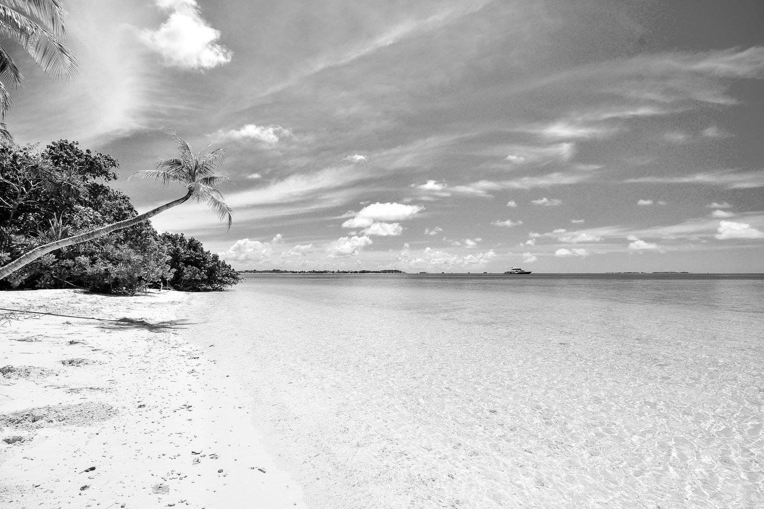 Why Unlimited Annual Leave Is A Lie Asamby Consulting